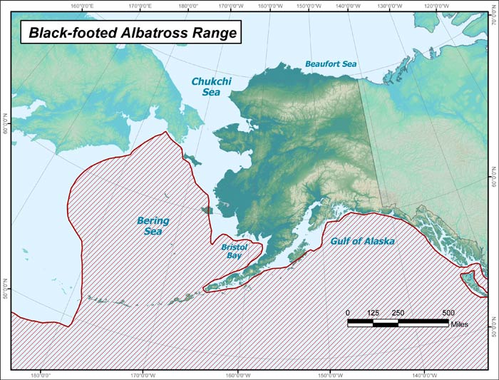 Range map of Black-footed Albatross in Alaska