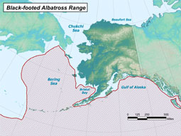 Black-footed Albatross range map