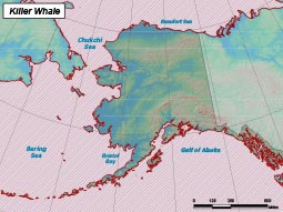 Killer Whale range map
