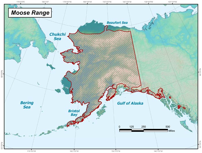 moose range map