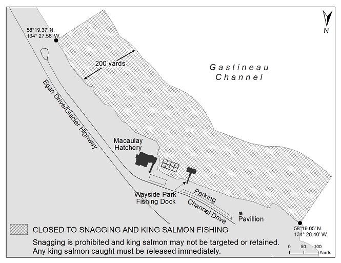 Macaulay Hatchery Area Closed to King Salmon Fishing