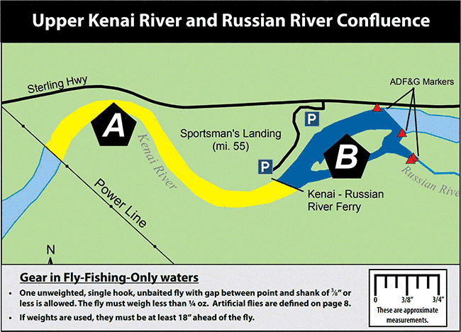 Russian River Sanctuary Opens Early for Sport Fishing  