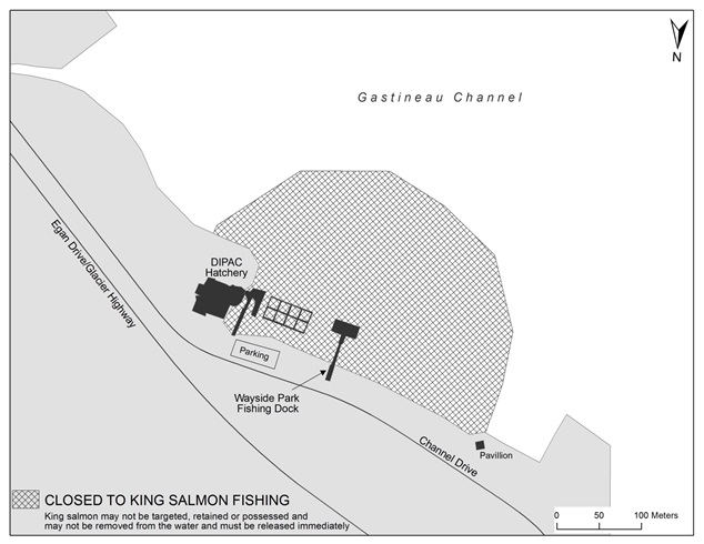DIPAC HATCHERY AREA CLOSED TO KING SALMON FISHING