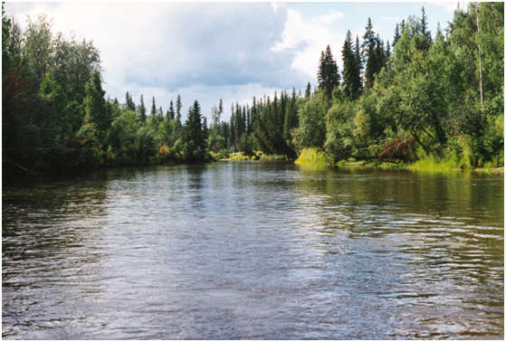 Birch Creek looking east.