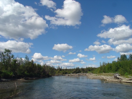The Aniak River is a very scenic, small, clearwater system with excellent fishing for rainbow trout and salmon.