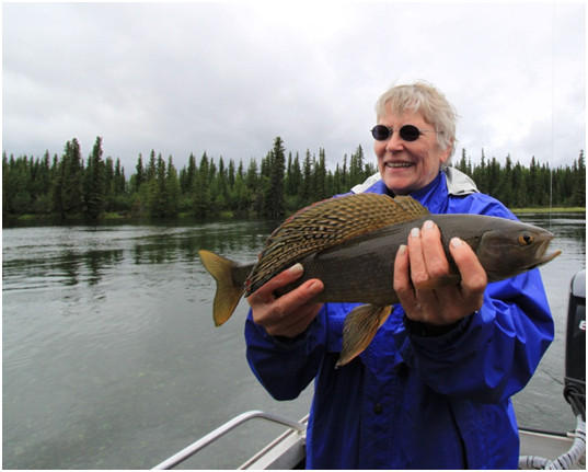 The Delta Clearwater River provides excellent catch rates for Arctic grayling.