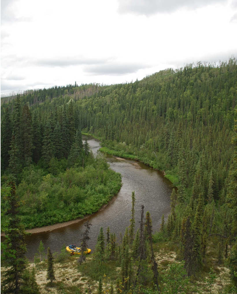 The Gulkana River looking upstream from above the canyon.