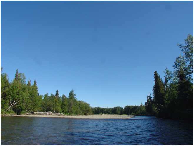 The Upper Chena provides a beautiful float trip that is road accessible and an easy drive from Fairbanks.