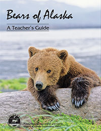 Bears of Alaska Cover Image