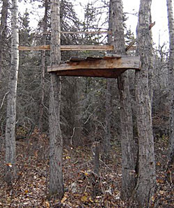 Wood Tree Stand