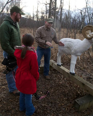 Bowhunter training with sheep model