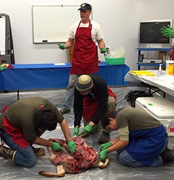 Processing meat