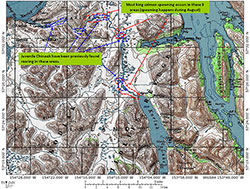 Spawning and potential rearing areas of the Karluk Drainage.