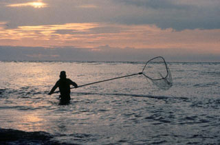 a man performs personal use dipnet fishing