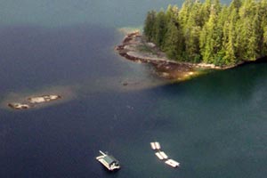Aerial photo of an aquatic farm site
