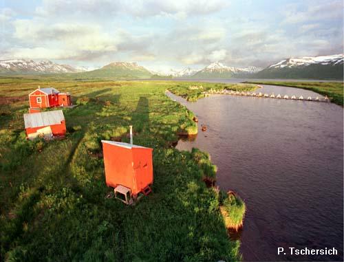 Bear River Weir