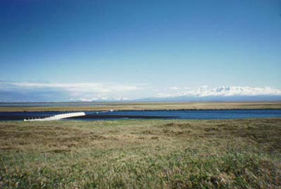 Ilnik River Weir