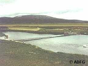 Nelson River Weir