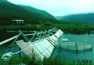 Orzinski River Weir