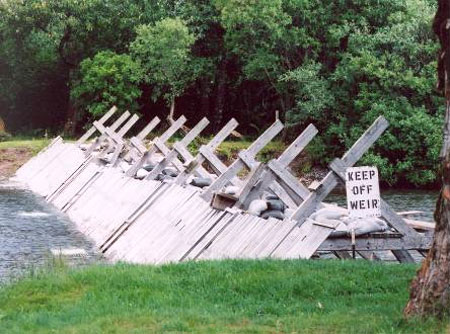 Dog Salmon Weir