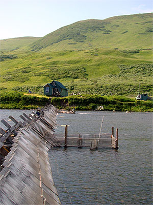 Karluk Weir