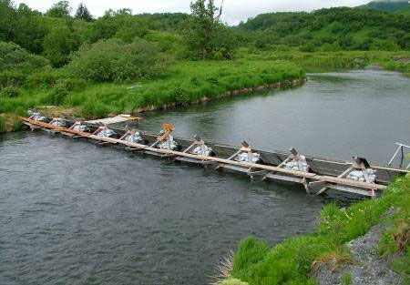 Saltery Weir