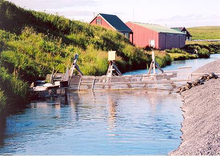 Upper Station Weir