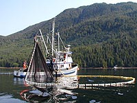 Alaska Commercial Fishing Boats