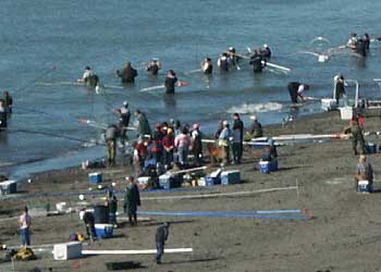 Department Fish  Game on Fishing In Alaska  Alaska Department Of Fish And Game