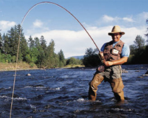 Sport fisherman