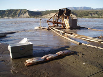a fish wheel with catch on shore