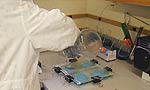 A lab worker pours gel into gel frames
