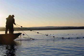 photo of a man throwing a castnet from a boat