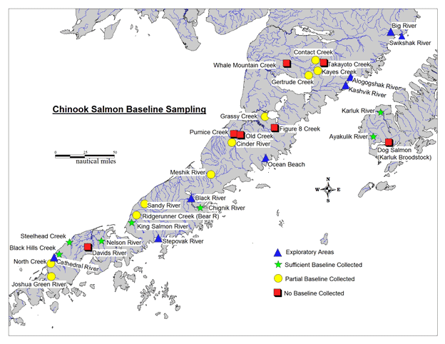 Figure 1-Map of Westward Region Alaska Chinook salmon baseline samples collected and exploratory areas for 2014 depicted.