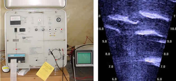 term paper on sonar term paper on sonar