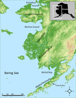 Alaska Fish Game on Overview Wassip Alaska Department Of Fish And Game