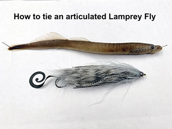 Lamprey fly pattern