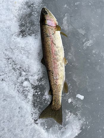 ice fishing - Alaska Department of Fish and Game (ADFG)