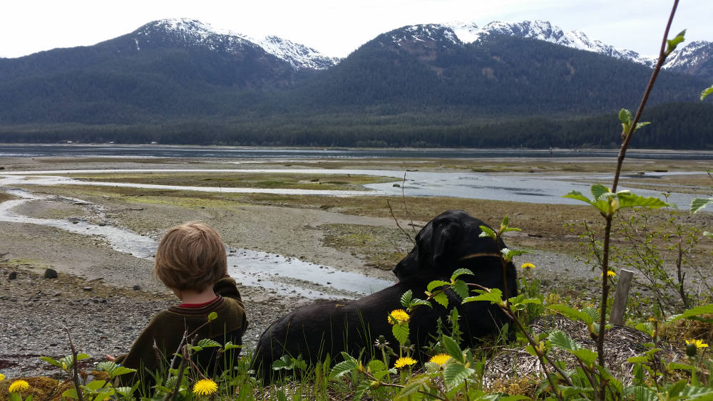 boy and dog overlooking river