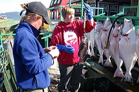 researchers work with groundfish
