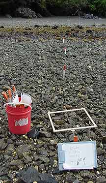 a view of shore survey area