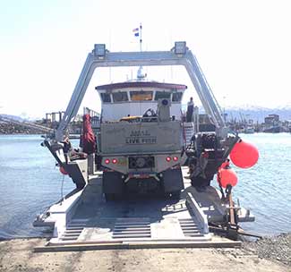 ferrying a truck loaded with live fish for release