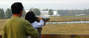 Wildlife Viewing Section Home