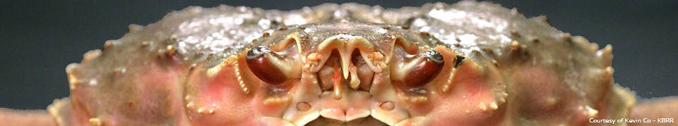 Information on Alaskas animals