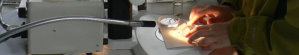 learning about aquatic animals