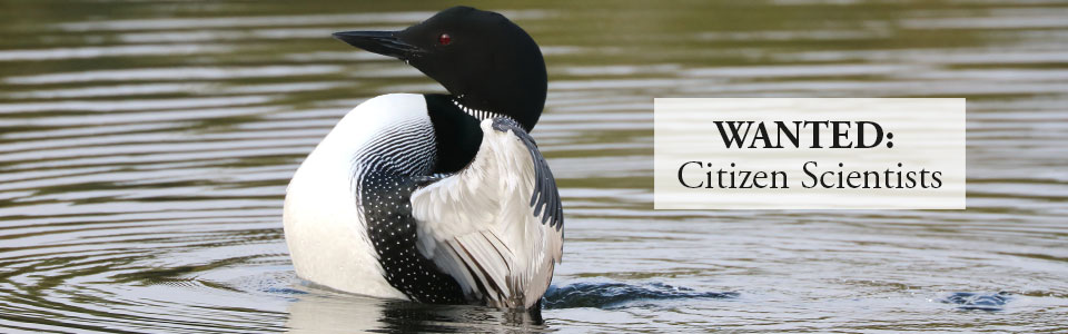 Wanted: Citizen Scientists