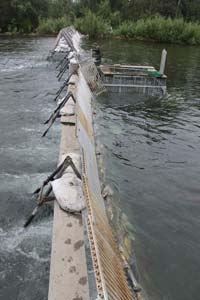 Salmon River fish weir