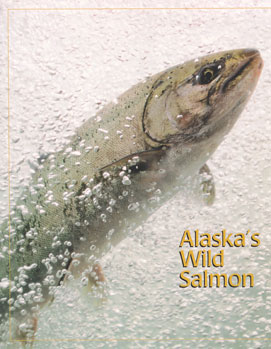 Alaska Fish  Game on Alaska S Wild Salmon  Alaska Department Of Fish And Game