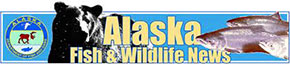 Alaska Fish and Wildlife News