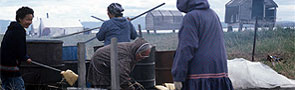 Women cooking muktuk.